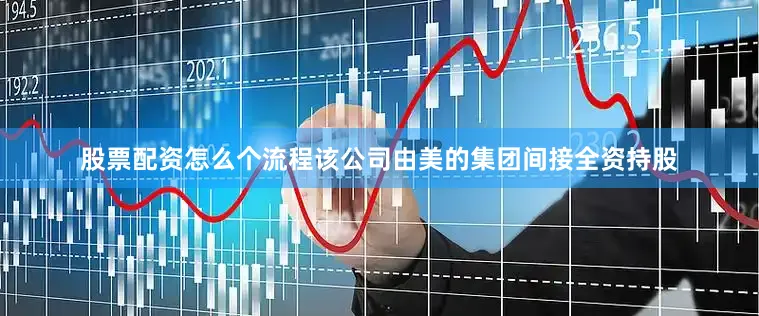 股票配资怎么个流程该公司由美的集团间接全资持股