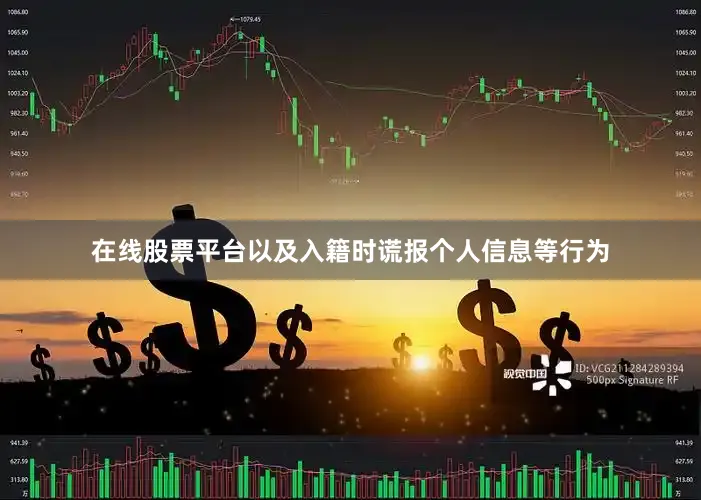 在线股票平台以及入籍时谎报个人信息等行为