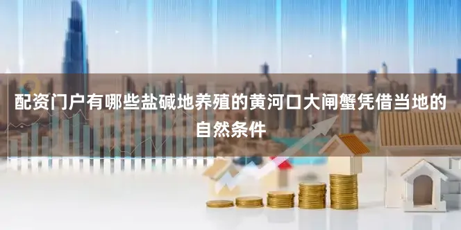 配资门户有哪些盐碱地养殖的黄河口大闸蟹凭借当地的自然条件
